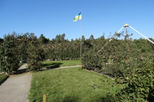Парк Олександрія